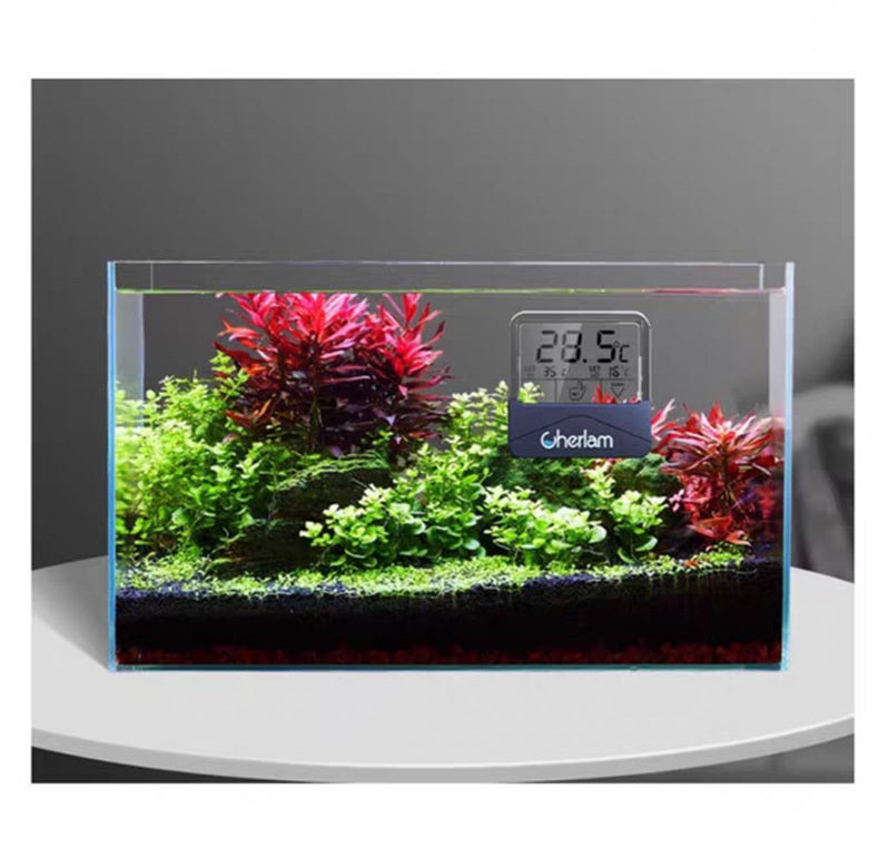 Cherlam LCD Thermometer