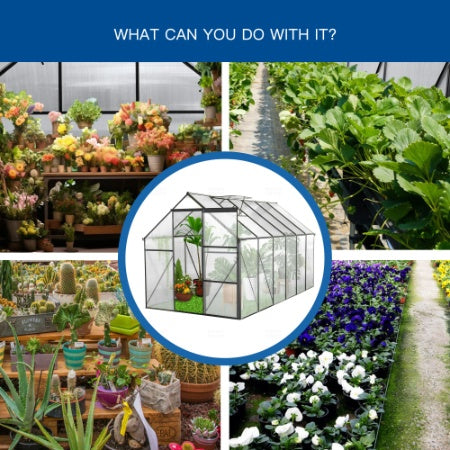 6x12 FT Polycarbonate Greenhouse Raised Base And Anchor Aluminum Heavy Duty Walk-in Greenhouses For Outdoor Backyard In All Season,Black