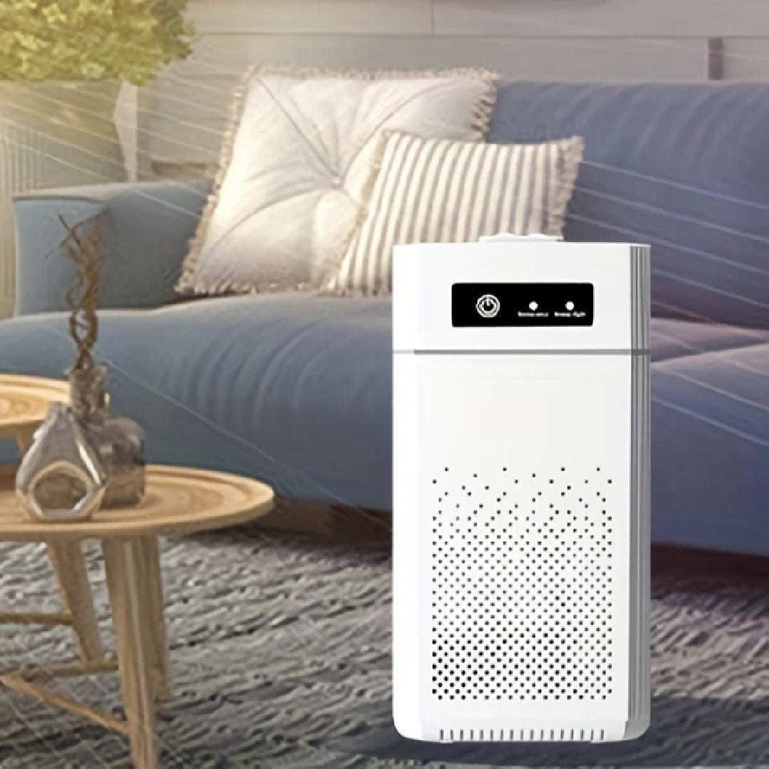 Air Purifier 3