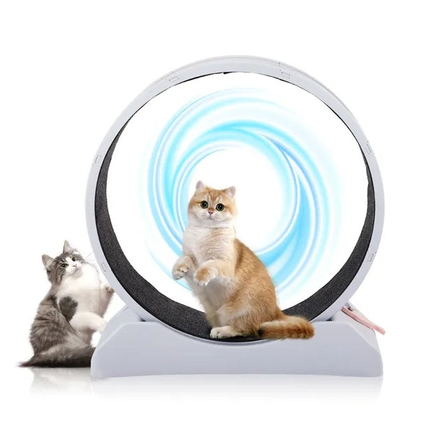 Cat Exercise Wheel, 31 Inch Cat Wheels For Indoor Cats, Cat Treadmill Wheel Exerciser With Carpeted Runway