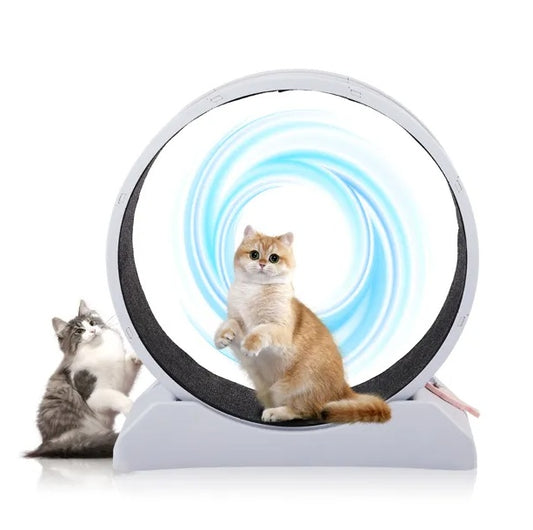 Cat Exercise Wheel, 31 Inch Cat Wheels For Indoor Cats, Cat Treadmill Wheel Exerciser With Carpeted Runway